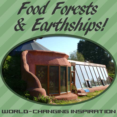 Foodscaping Food Forests and Earthships