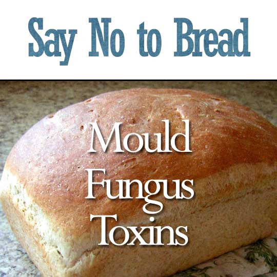 Say No to Bread: Mould, Fungus and Toxins