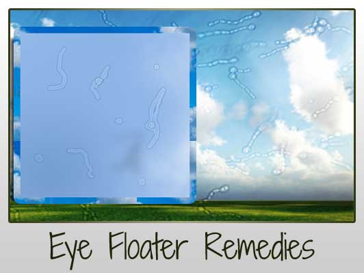 Eye Floater Remedies