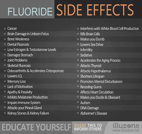 Pineal Gland Experiment [Food Diary Week 2]