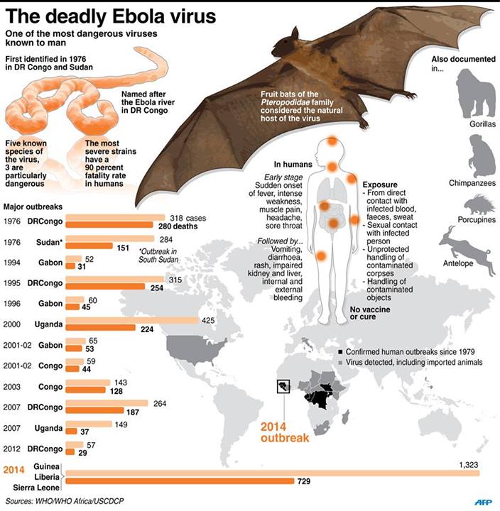 Ebola Virus Audio Notes