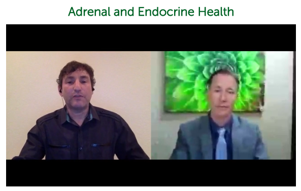 Adrenal and Endocrine Health ~ Dr. Alan Christianson [Notes]