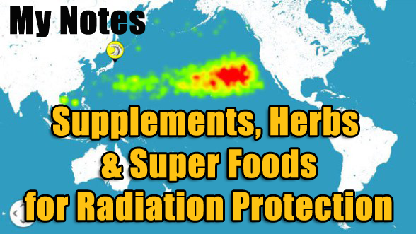 Supplements, Herbs and Super Foods for Radiation Protection [Notes]