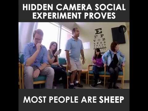 Social experiment proves most people are sheep (& why that gives me hope)