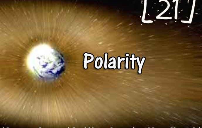 [21] – Polarity