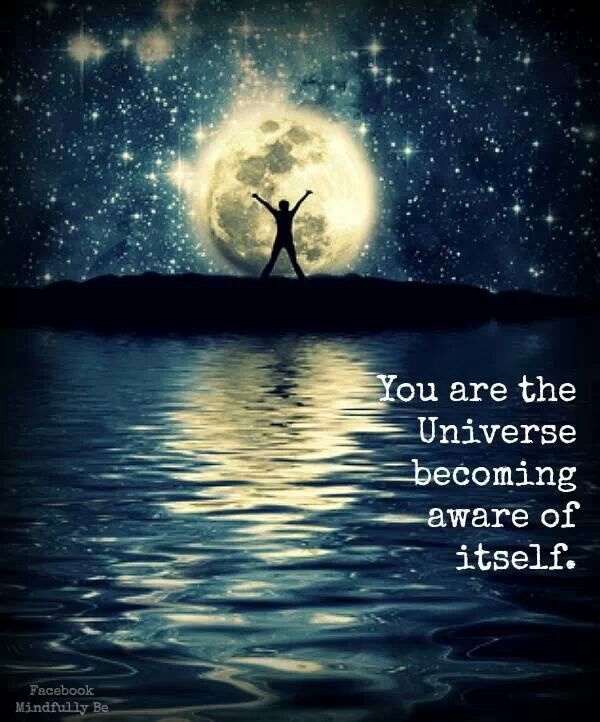 you-are-the-universe-becoming-aware-of-itself-quote-1