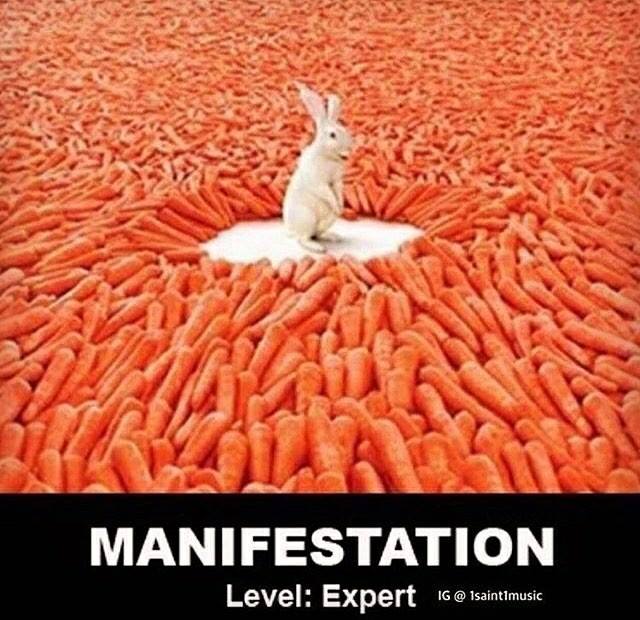 master-manifsetation-rabbit-carrots