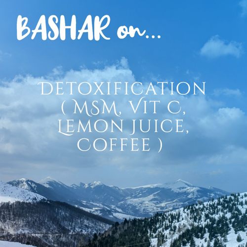 bashar_detox