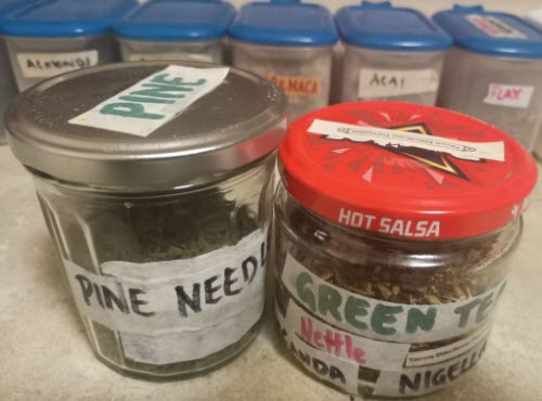 Pine-GreenTea-Nettle